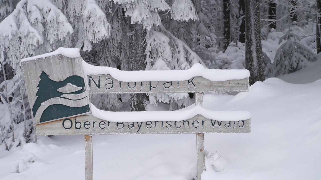 Hotel Gasthof Fellner Furth im Wald Exteriör bild